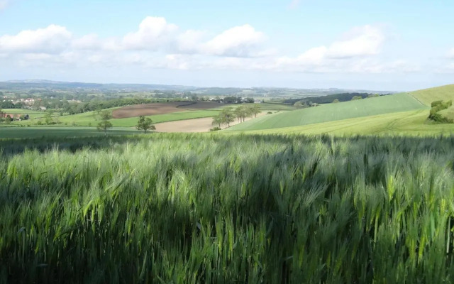 Gîte Sanghen, 4 pièces, 8 personnes - FR-1-376-73