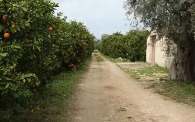 Agrumeto