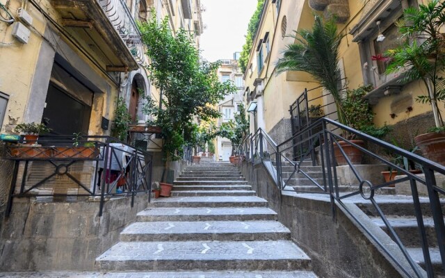 Vicoletto Sant Arpino 15