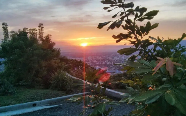 Signature's 21 Guest Apartments