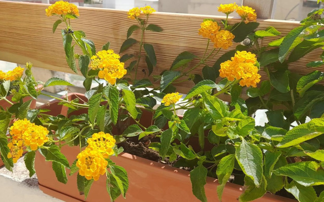 Ramzam - Spacious & Modern 3 bedroom apartment with roof terrace