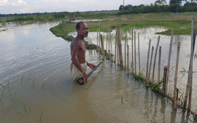 Homestay By the Tea Garden Dibrugarh