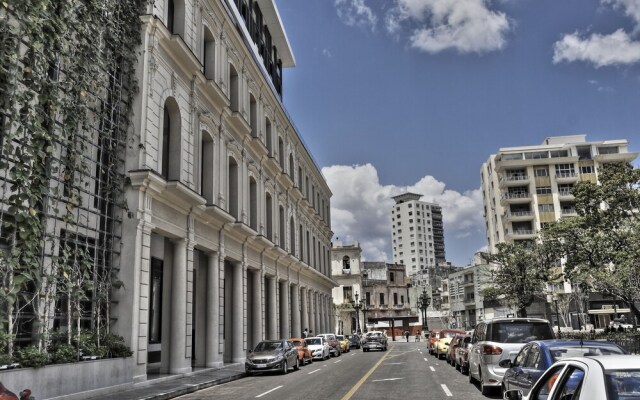 Suit Vedado