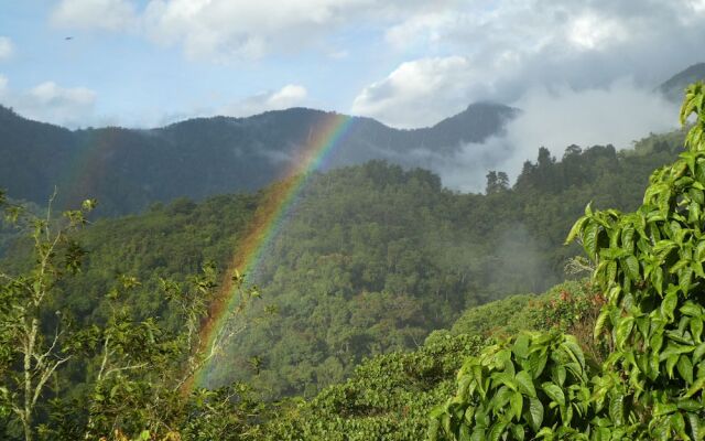 Desarrollo Biodiverso