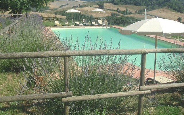 Podere Della Collina