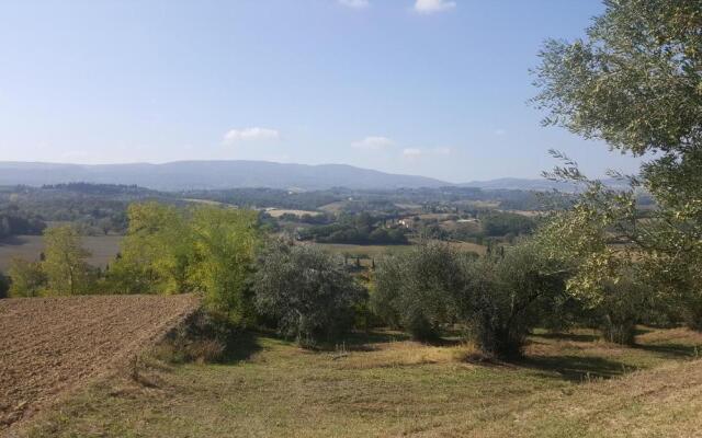 Montevenere 83