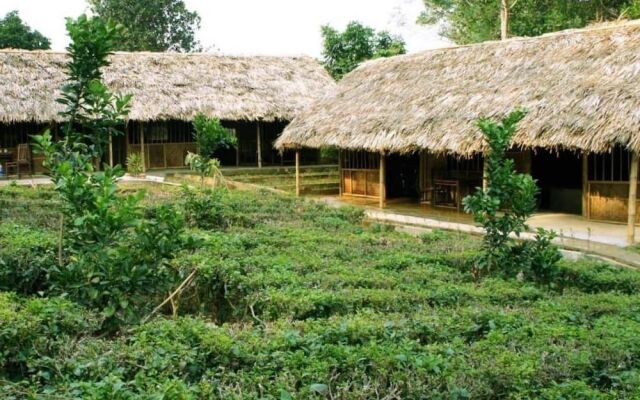 Family Homestay Ba Vi - Hostel