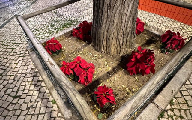 Quarteira Home Beach ¦ Férias Tranquilas a 1KM da Praia