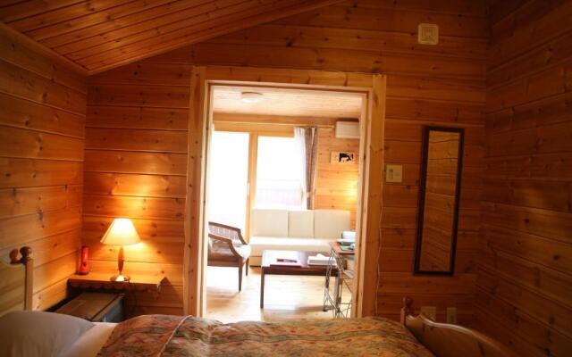 Hotel Andermatt