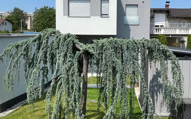 Villa Mami