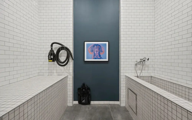 Luxury Apartments by Hyatus Boston Somerville