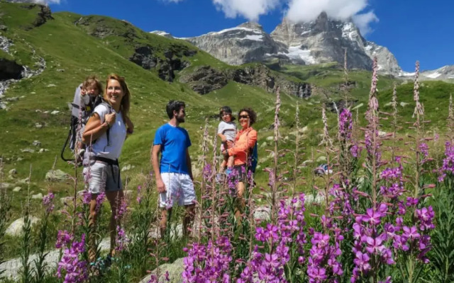 Chalet-village Situated in a Quiet Area