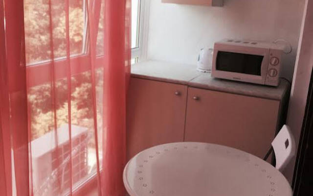 Апартаменты Светлана