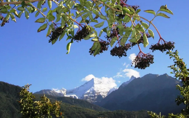 Agriturismo Verger Plein Soleil