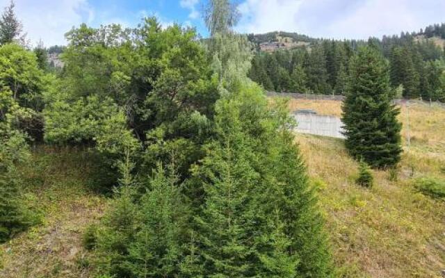 Rental Apartment Castor II - Flaine