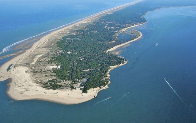 Las Delicias (CFE101)