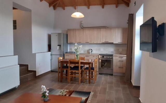 Old Village apartment, Ximena and Emilios
