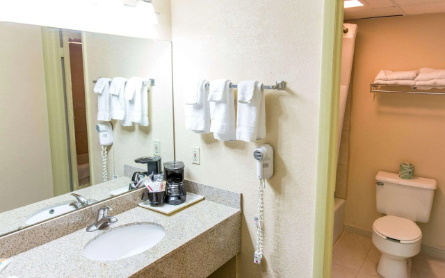 Quality Inn & Suites Big Rapids near University