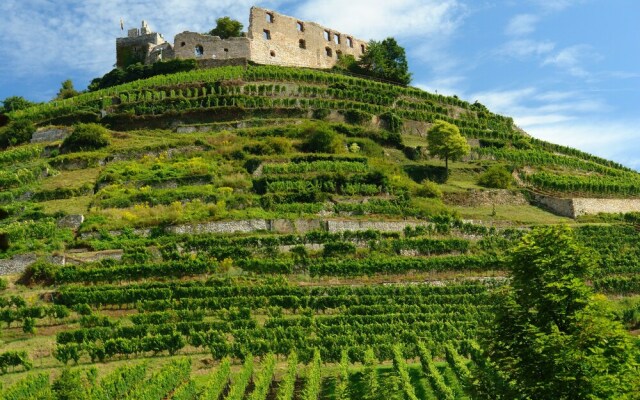 Der Löwen in Staufen