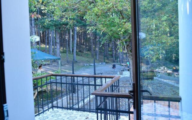 Eco Oasis