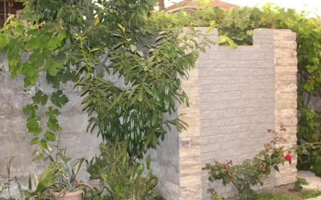 Guesthouse - Fenella