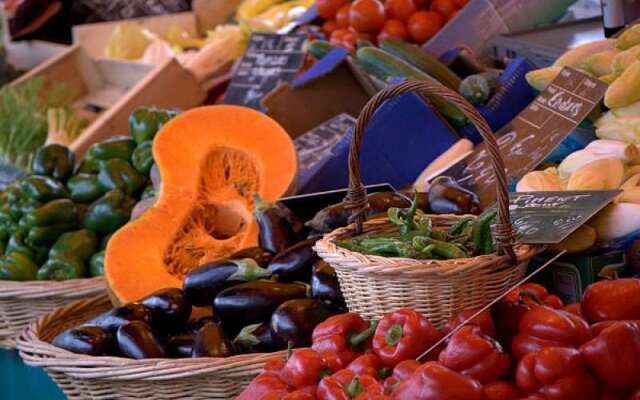 Terres de France Prayssac