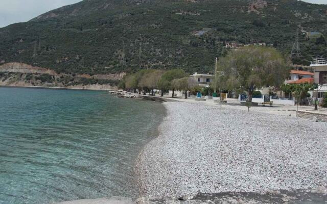 Hotel Theasis