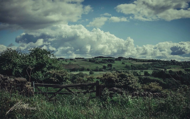 The Elks Head – Whitfield