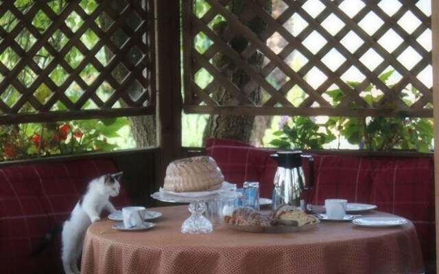 Cozy Apartment with Roof Terrace