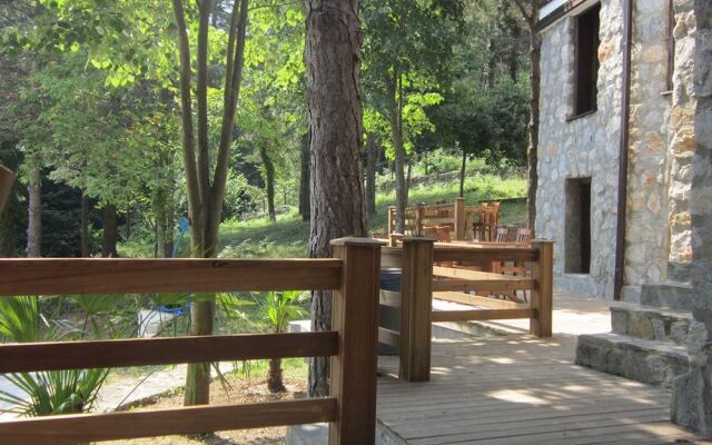 Sapanca Villa Natura