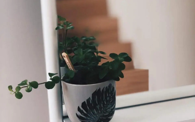 Penthouse La Naturale