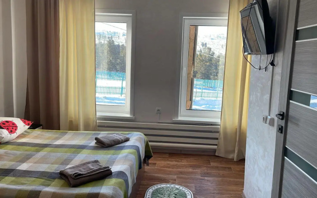 Кедр Золотой