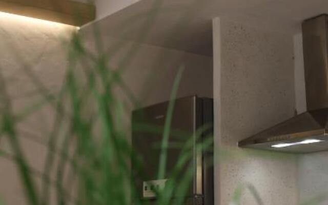 Executive suites @ apartments