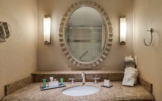 Hilton Washington Dulles Airport