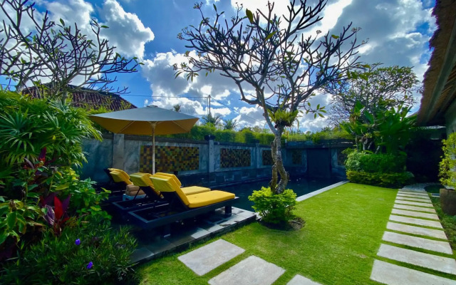 Serene Villas