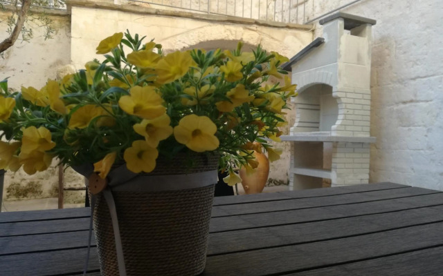 Sassi Sotto Le Stelle