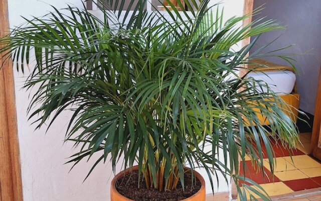 Hostal Colombian Gold