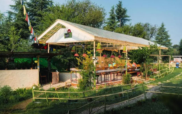 The Bunker Bir