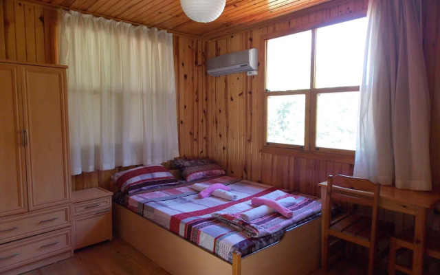 Olympos Orange