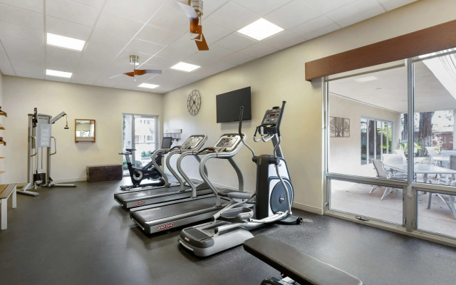 Best Western Plus Black Oak
