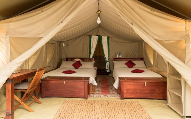 Hammerkop Migration Camp