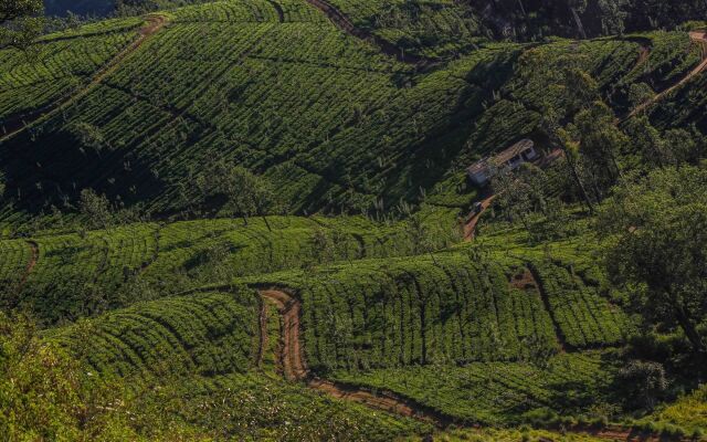 Hatale Mini Worlds End Bungalow