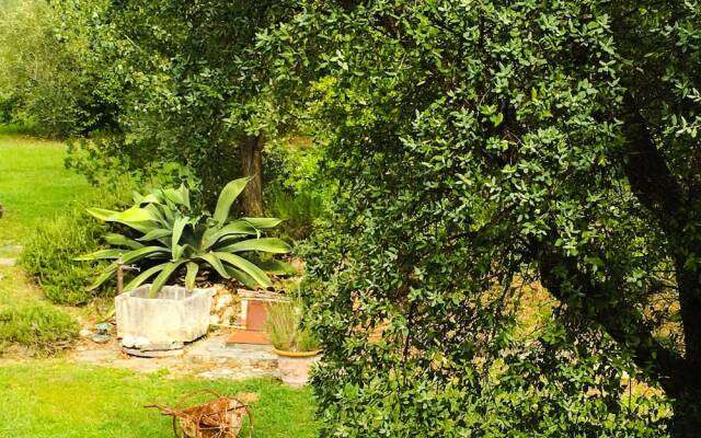 Resort La Ghiaia - Guest House