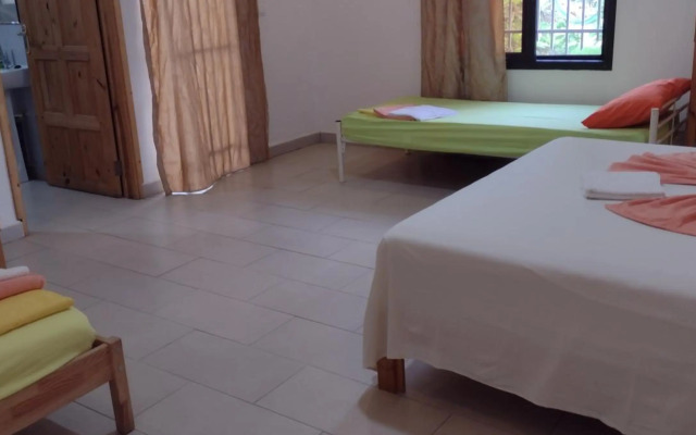 Real Owl Guest House