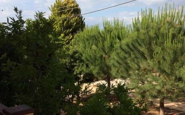 Villa Park Luxury Rooms