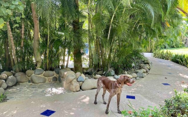 Villa Palomas A Unos Pasos De Playa La Ropa