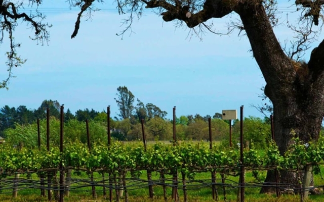 Home near 42 attractions in the Poconos