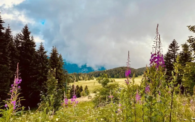Serene Alpine Stay for 6 Guests