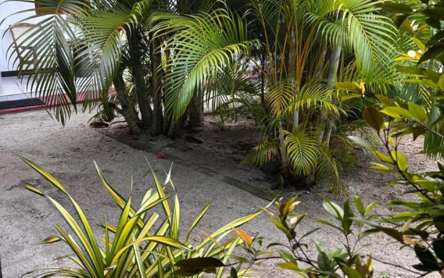 Ubay Guest House