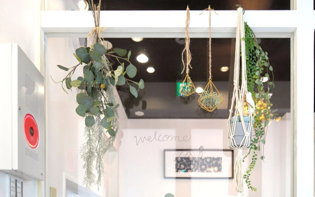 Vivid Zebra House - 197-1